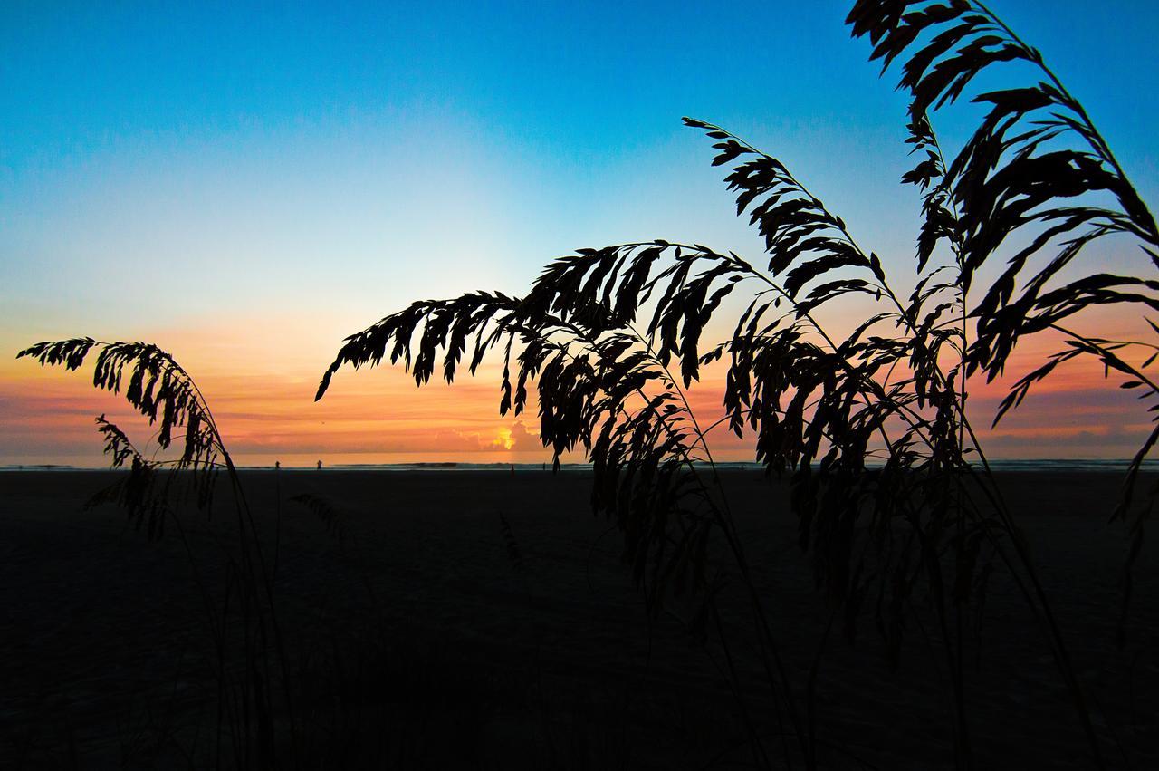 Guy Harvey Resort On Saint Augustine Beach エクステリア 写真